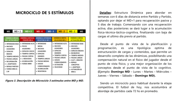 MICROCICLOS INTEGRALES - Image 2