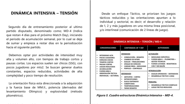 MICROCICLOS INTEGRALES - Image 8